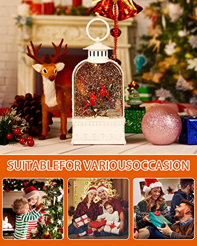Cardinal Snow Globe, Christmas Snow Globe White, Musical Sparkly Swirling Snow Globe Lantern, Red Cardinal Ornament, Battery or USB Powered Decoration (9.9Inch)