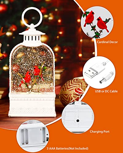 Cardinal Snow Globe, Christmas Snow Globe White, Musical Sparkly Swirling Snow Globe Lantern, Red Cardinal Ornament, Battery or USB Powered Decoration (9.9Inch)